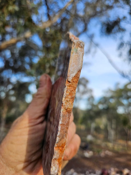 Polished Marillana Conglomerate slab MC119