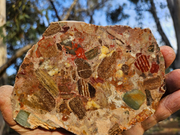 Polished Marillana Conglomerate slab MC119