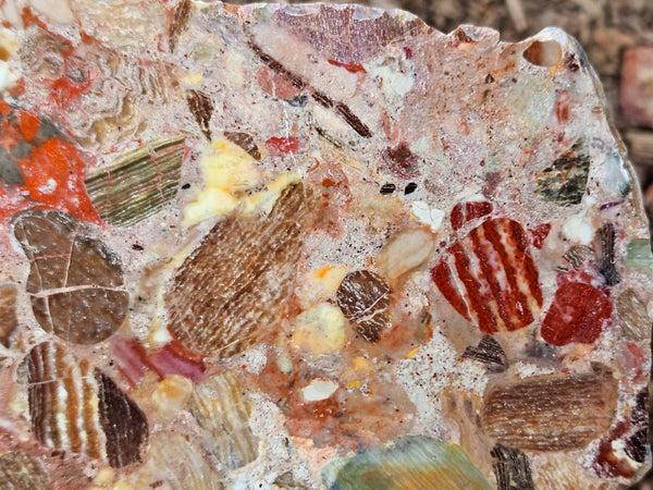 Polished Marillana Conglomerate slab MC119