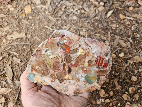 Polished Marillana Conglomerate slab MC119