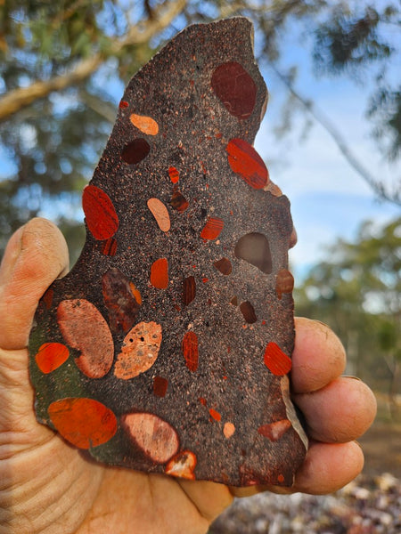 Jelly Bean Jasper polished slab JBJ351