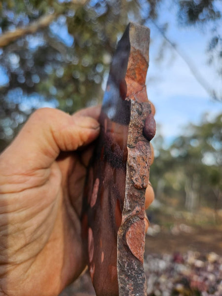 Jelly Bean Jasper polished slab JBJ351