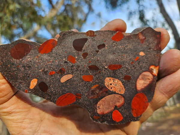 Jelly Bean Jasper polished slab JBJ351