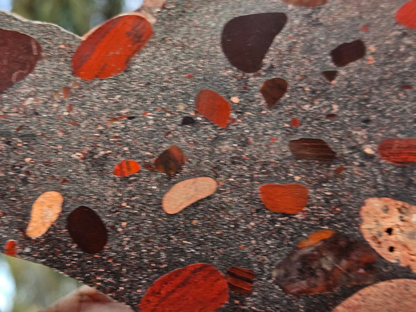 Jelly Bean Jasper polished slab JBJ351