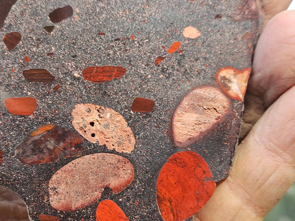 Jelly Bean Jasper polished slab JBJ351