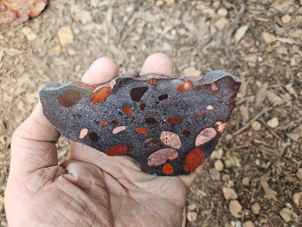 Jelly Bean Jasper polished slab JBJ351
