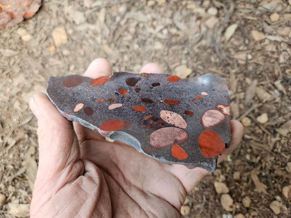 Jelly Bean Jasper polished slab JBJ351