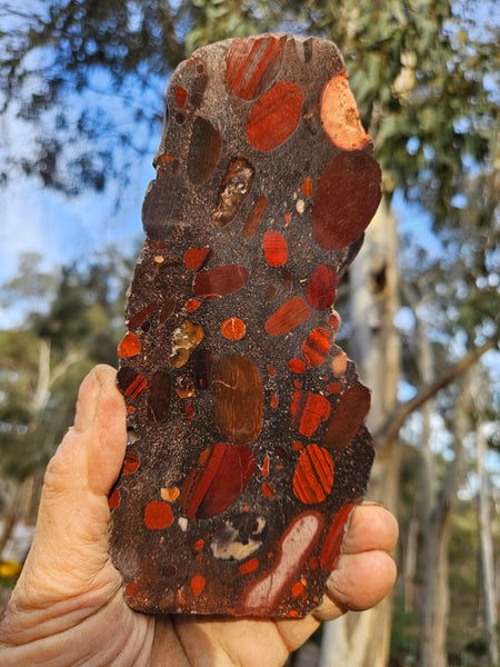 Jelly Bean Jasper polished slab JBJ352