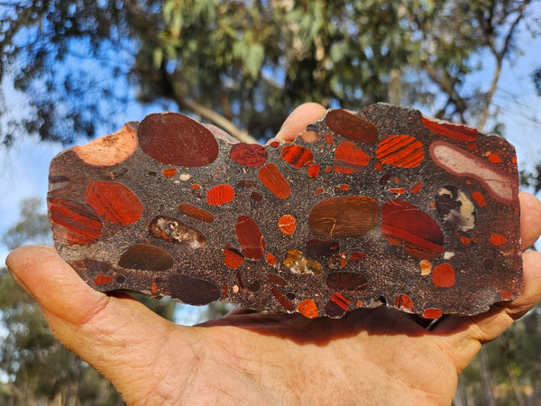 Jelly Bean Jasper polished slab JBJ352