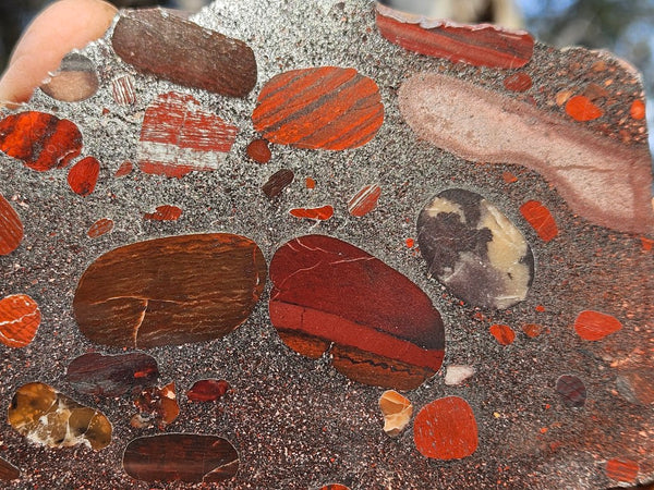 Jelly Bean Jasper polished slab JBJ352