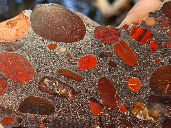 Jelly Bean Jasper polished slab JBJ352