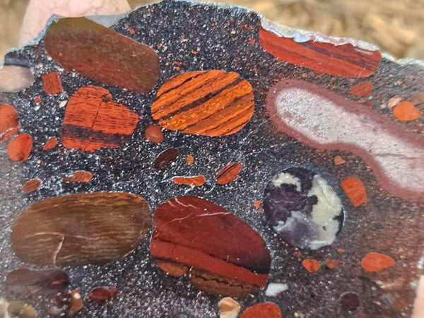 Jelly Bean Jasper polished slab JBJ352