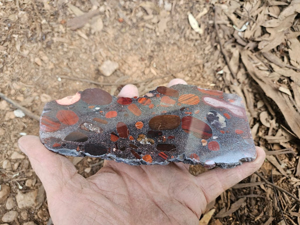 Jelly Bean Jasper polished slab JBJ352