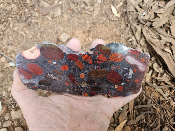 Jelly Bean Jasper polished slab JBJ352