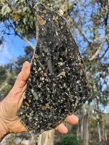 Black Jasper Conglomerate slab B233