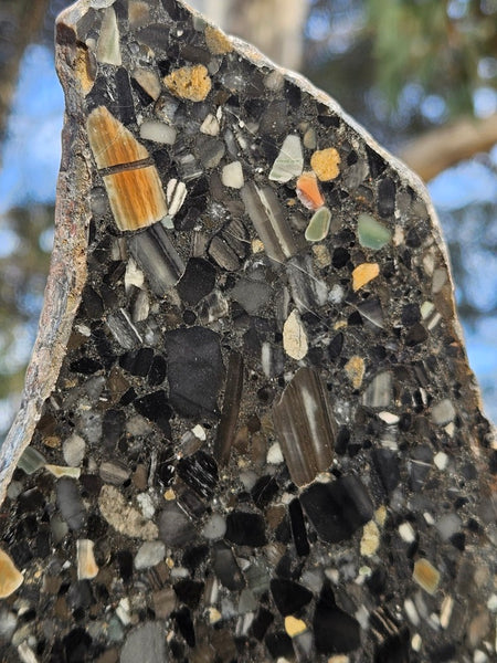 Black Jasper Conglomerate slab B233