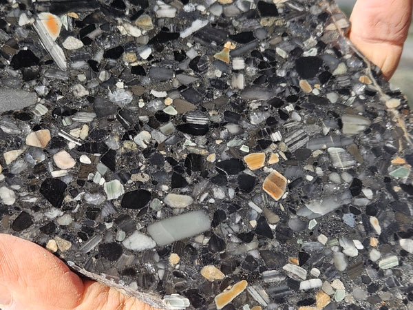 Black Jasper Conglomerate slab B233