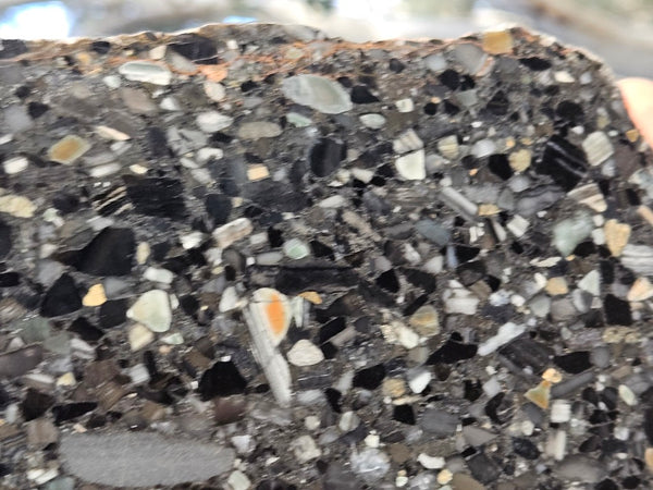 Black Jasper Conglomerate slab B233
