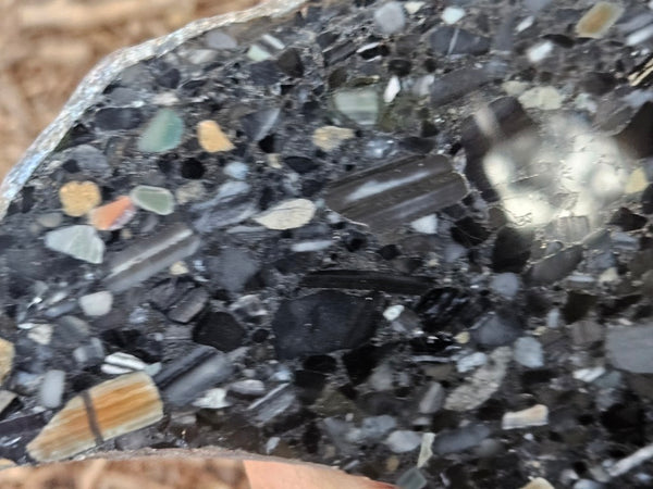 Black Jasper Conglomerate slab B233