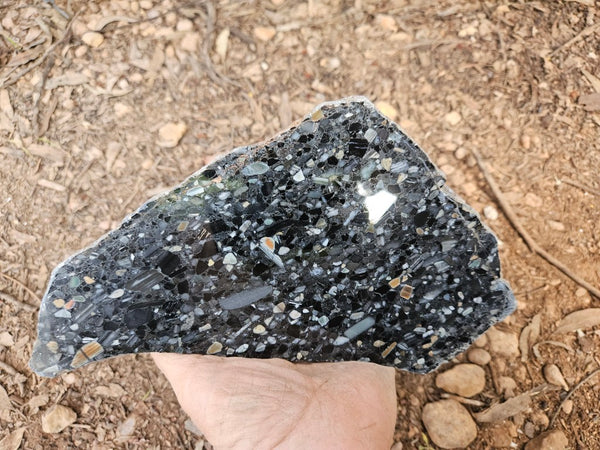 Black Jasper Conglomerate slab B233