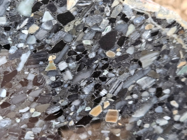 Black Jasper Conglomerate slab B233