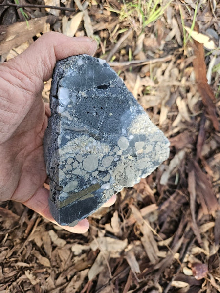 Polished Beaton's Creek auriferous conglomerate  BC104
