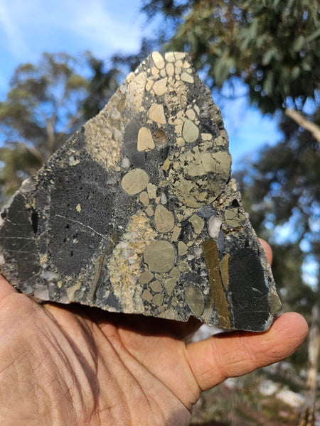 Polished Beaton's Creek auriferous conglomerate  BC104
