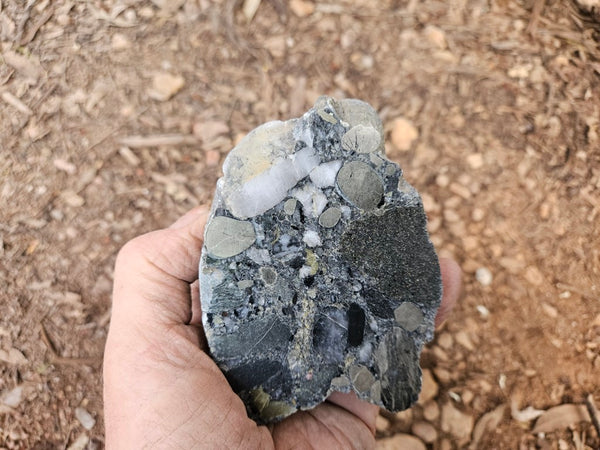 Polished Beaton's Creek auriferous conglomerate  BC105