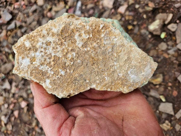 Variscite rough. VR593