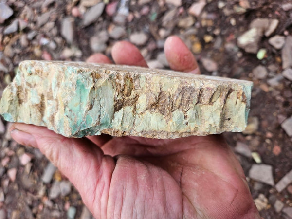 Variscite rough. VR593