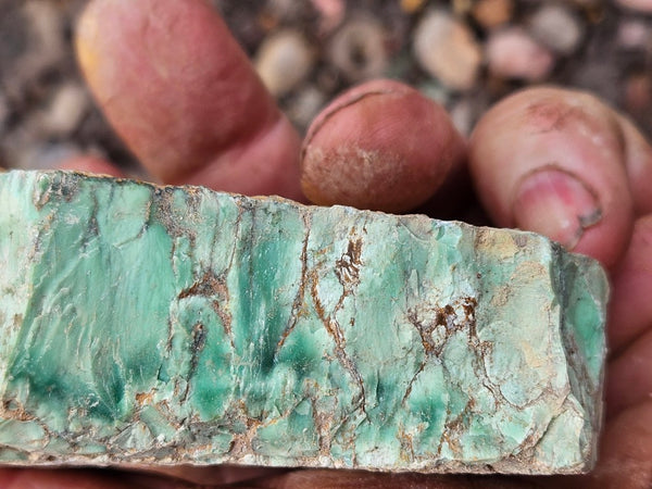Variscite rough. VR593
