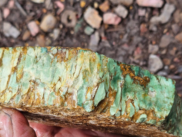Variscite rough. VR593