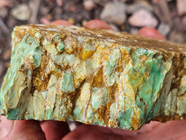 Variscite rough. VR593