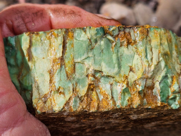 Variscite rough. VR593