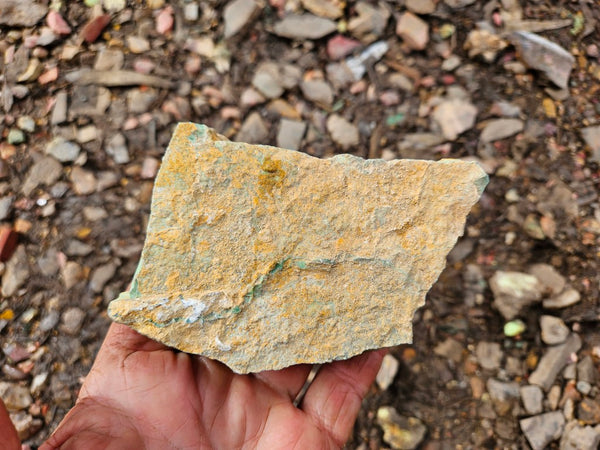 Variscite rough. VR594