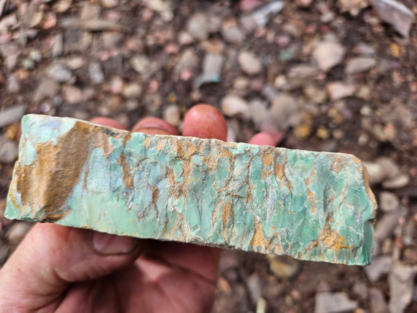 Variscite rough. VR594