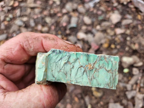 Variscite rough. VR594