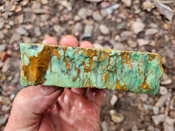 Variscite rough. VR594
