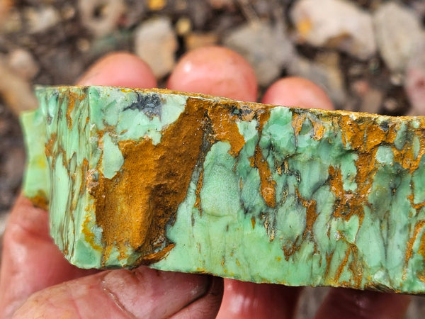 Variscite rough. VR594