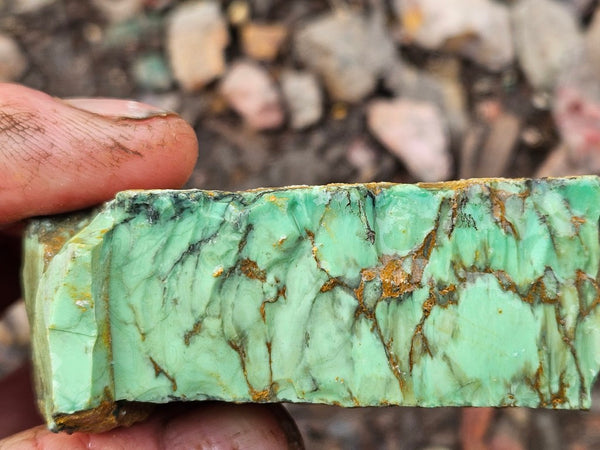 Variscite rough. VR594