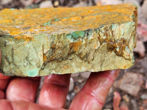 Variscite rough. VR594