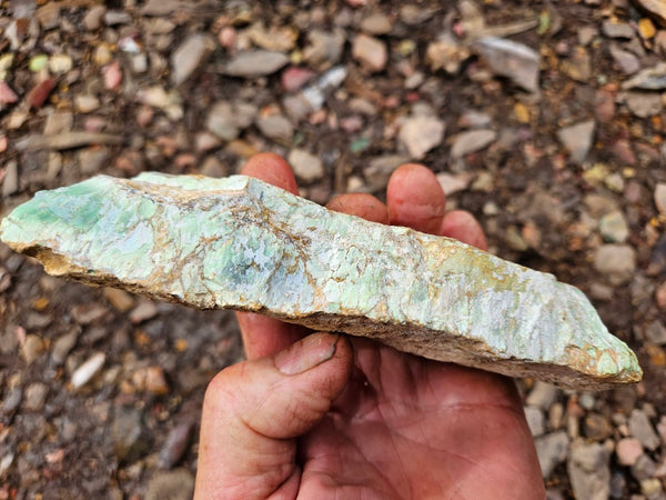 Variscite rough. VR595