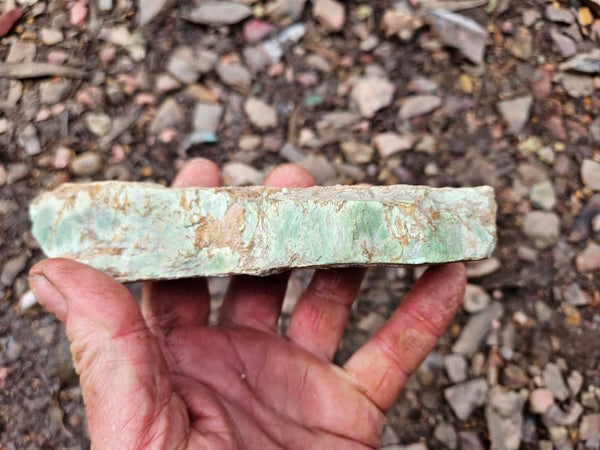 Variscite rough. VR595
