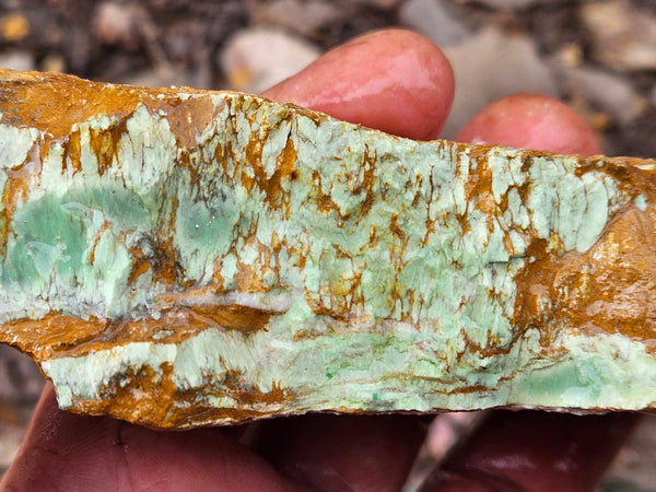 Variscite rough. VR595