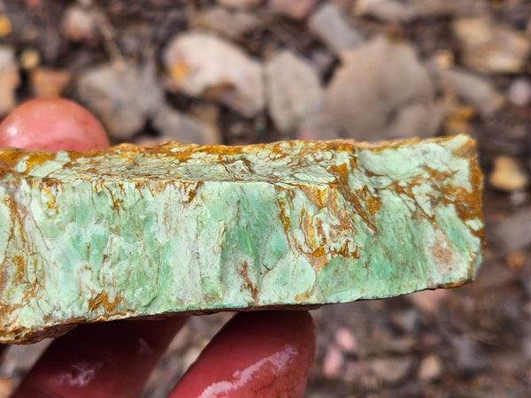 Variscite rough. VR595