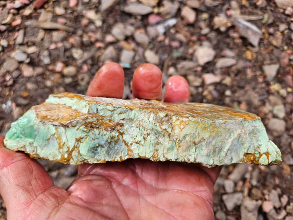 Variscite rough. VR595