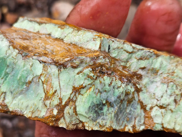 Variscite rough. VR595