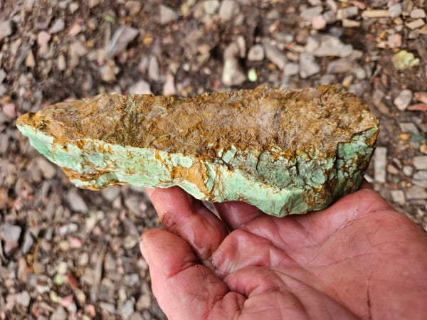 Variscite rough. VR595