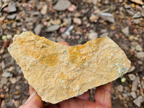 Variscite rough. VR600