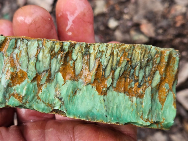 Variscite rough. VR600